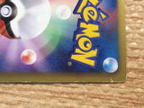 CD3789 Zekrom - PROMO 111/BW-P Pokemon Card TCG Japan