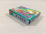 UE4551 Digdug BOXED GameBoy Advance Japan