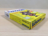Nano Note BOXED GameBoy Game Boy Japan - UE4441