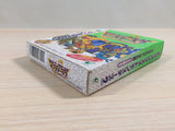 Dragon Quest Monsters 2 Ruka BOXED GameBoy Game Boy Japan - UE3984