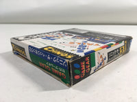 DK4810 Sonic The Hedgehog 2 BOXED Sega Game Gear Japan