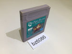 BZ6086 Pipe Dream Mania GameBoy Game Boy Japan