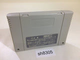 Wondrous Magic SNES Super Famicom Japan - SH8305