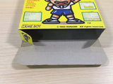 Nano Note BOXED GameBoy Game Boy Japan - UE4441