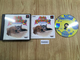 Motto! Nyan To Wonderful 2 PS1 Japan - FH6680