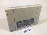 Sim City SNES Super Famicom Japan - SJ3202