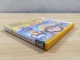 UE7421 Super Mario 3D Land BOXED Nintendo 3DS Japan