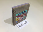 BZ6089 World Bowling GameBoy Game Boy Japan