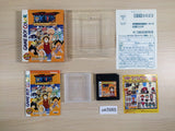 OnePiece Maboroshi no Grand Line Boukenki! BOXED GameBoy Game Boy Japan - UE3985