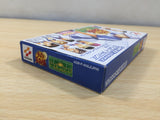 UE6030 The Prince of Tennis Aim at The Victory BOXED GameBoy Advance Japan