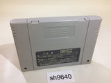 Dark Kingdom SNES Super Famicom Japan - SH9640