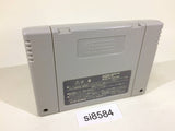 Tenchi Muyo! Game Hen SNES Super Famicom Japan - SI8584