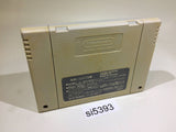 Yu Yu Hakusho SNES Super Famicom Japan - SI5393