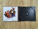 Riglord Saga 2 Sega Saturn Japan - FH7780
