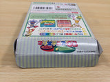 Mario Tennis GB BOXED GameBoy Game Boy Japan - UE5904