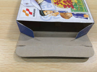 UE6030 The Prince of Tennis Aim at The Victory BOXED GameBoy Advance Japan