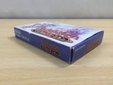 UE5527 Magical Vacation BOXED GameBoy Advance Japan