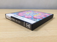 UE8120 Kirby Mass Attack BOXED Nintendo DS Japan