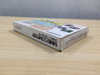 UE8520 Dr. Mario BOXED NES Famicom Japan