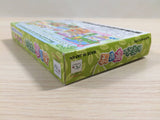 UE3398 Ochaken no Yumebouken BOXED GameBoy Advance Japan