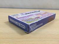 UE5527 Magical Vacation BOXED GameBoy Advance Japan