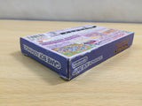 UE5527 Magical Vacation BOXED GameBoy Advance Japan