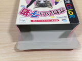 Kawaii Koneko BOXED GameBoy Game Boy Japan - UE2631