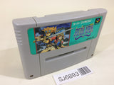 Ruin Arm SNES Super Famicom Japan - SJ6893