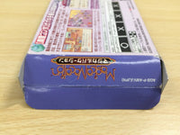 UE5527 Magical Vacation BOXED GameBoy Advance Japan