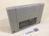 Ruin Arm SNES Super Famicom Japan - SJ6893