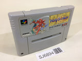 Holy Striker Firestriker SNES Super Famicom Japan - SJ6894