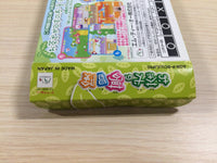 UE3398 Ochaken no Yumebouken BOXED GameBoy Advance Japan