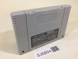 Holy Striker Firestriker SNES Super Famicom Japan - SJ6894
