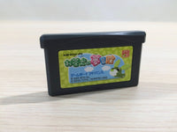 UE3398 Ochaken no Yumebouken BOXED GameBoy Advance Japan
