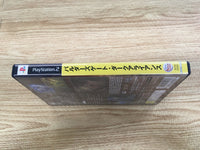 FH9395 Baldur’s Gate Dark Alliance PS2 Japan