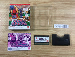 DK7314 Wonder Stadium BOXED Wonder Swan Bandai Japan