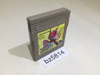 BZ5814 Chalvo 55 GameBoy Game Boy Japan