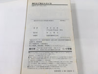 AAA1726 The World God Only Knows Vol.25 Japanese Manga