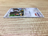 CE2818 Staraptor - MRP09 018/022 Pokemon Card TCG Japan