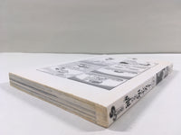 AAA1727 The World God Only Knows Vol.14 Japanese Manga