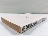 AAA2030 ONE PIECE Vol.19 Japanese Manga