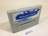 sj5512 Bahamut Lagoon SNES Super Famicom Japan