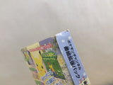 Pokemon Channel Expansion pack BOXED GameCube Japan - UE7163
