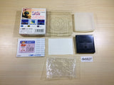 DK6827 G-LOC Air Battle BOXED Sega Game Gear Japan