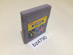 BZ4790 Tokyo Disneyland Fantasy Tour Mickey GameBoy Game Boy Japan