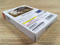 DK7315 Final Fantasy I BOXED Wonder Swan Bandai Japan