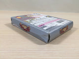 Kanzume Monsters Kandume BOXED GameBoy Game Boy Japan - UE4952