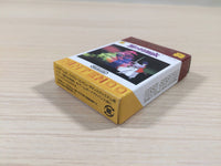 UE5423 The Mysterious Murasame Castle BOXED GameBoy Advance Japan
