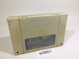 Super Puyo Puyo SNES Super Famicom Japan - SI3801