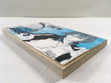 AAA1410 The Prince of Tennis Vol.30 Japanese Manga